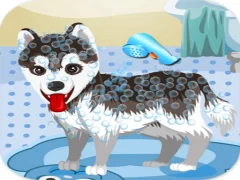 Joc My Cute Dog Bathing on-line