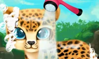 Joc Paws to Beauty Baby Beast on-line