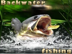 Joc Backwater Fishing on-line