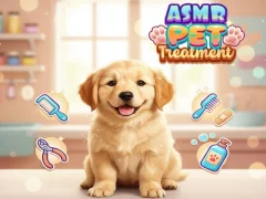 Joc Asmr Pet Treatment on-line
