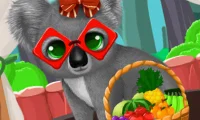 Joc Paws to Beauty Back to the Wild on-line