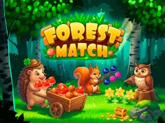 Joc Forest Match on-line