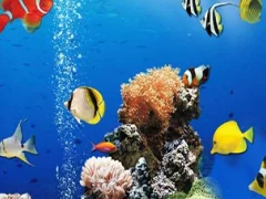 Joc Sea Underwater Difference on-line