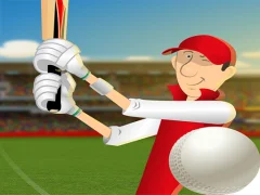 Joc Cricket 2D on-line