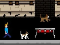 Joc Streamer Fashion Run on-line