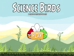 Joc Science Birds on-line