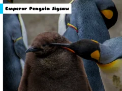 Joc Emperor Penguin Jigsaw on-line