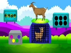 Joc Lamb Escape on-line