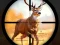 Joc Wild Hunting Clash on-line
