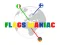 Joc Flags Maniac on-line