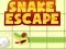 Joc Snake escape on-line