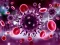 Joc Coronavirus Puzzle on-line