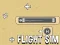 Joc Flight Sim on-line
