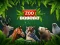Joc ZOO Trivia on-line