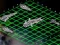 Joc Intergalactic Battleships on-line
