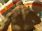 Joc Monster Simulator on-line