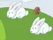 Joc Crazy Eggs on-line