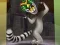 Joc King Julien: Trommel-Tanz on-line