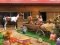 Joc Horse Ranch on-line