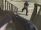 Joc Western:Invasion on-line