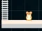 Joc Hamster Grid Even Odd on-line