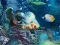 Joc Sunken Gold on-line