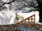 Joc Ice Biker on-line