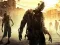 Joc Stupid Zombies Hunt on-line