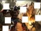 Joc Transformers 3 image puzzles on-line