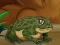 Joc Frogs Matching on-line