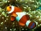 Joc Underwater Hidden Numbers on-line