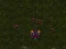 Joc Starcraft 3 on-line