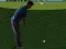 Joc Flash Golf 3D on-line