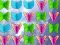 Joc Butterfly Collector on-line