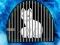 Joc Snow Fox Escape on-line