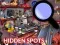 Joc Hidden Spots In The Room on-line