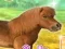Joc My Dear Pony on-line