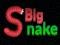Joc Big Snake.io on-line