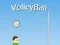 Joc VolleyBall on-line