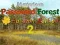 Joc Mysterious Password Forest Autumn Edition 2 on-line