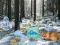 Joc Winter Wonderland Forest Adventure on-line