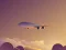 Joc Vacation Airplanes Jigsaw on-line