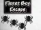 Joc Floret Boy Escape on-line