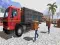 Joc Asian offroad cargo truck driver on-line