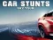Joc Car Stunts Sky Tour on-line