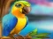 Joc Little Parrot Escape on-line
