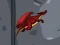 Joc Dragon Domination on-line