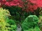 Joc Maple Leaf Garden Escape on-line