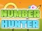 Joc Number Hunter on-line