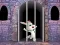 Joc Victory Rabbit Escape on-line